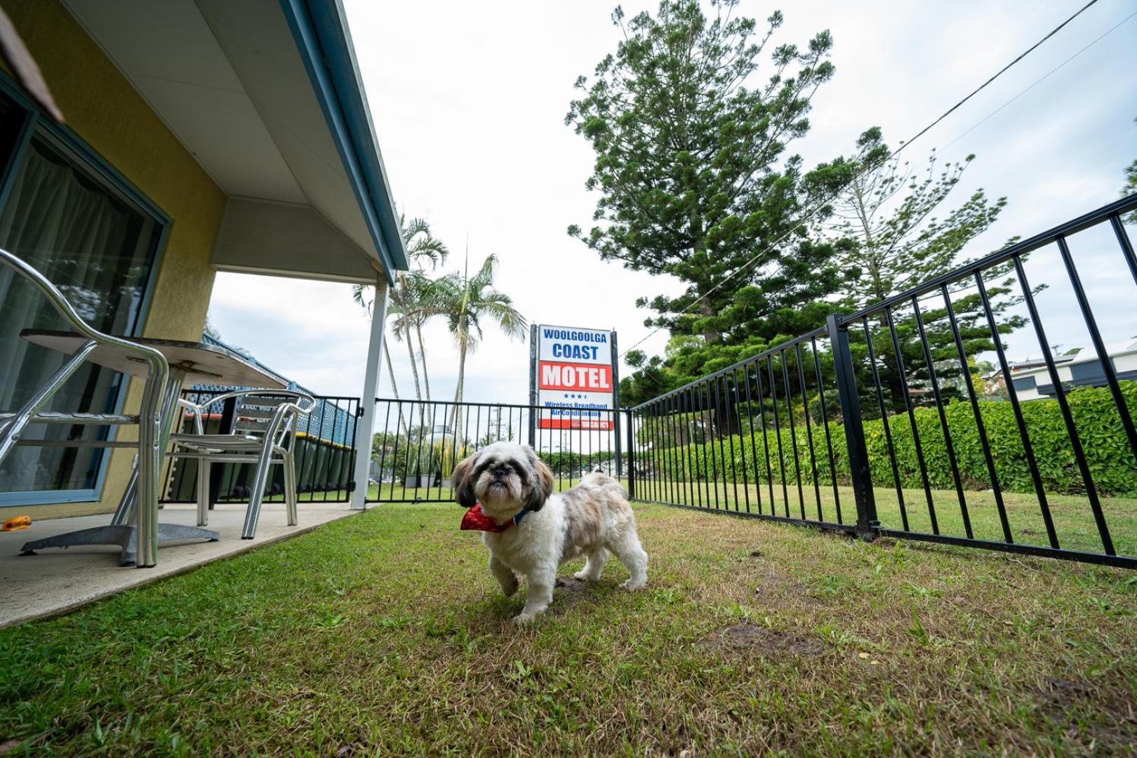 Woolgoolga Coast Motel Room photo